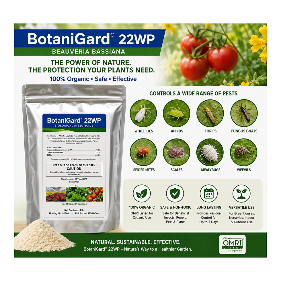 Thumbnail: BotaniGard 22WP—Beauveria Bassiana Organic control of Whiteflies, Aphids & More