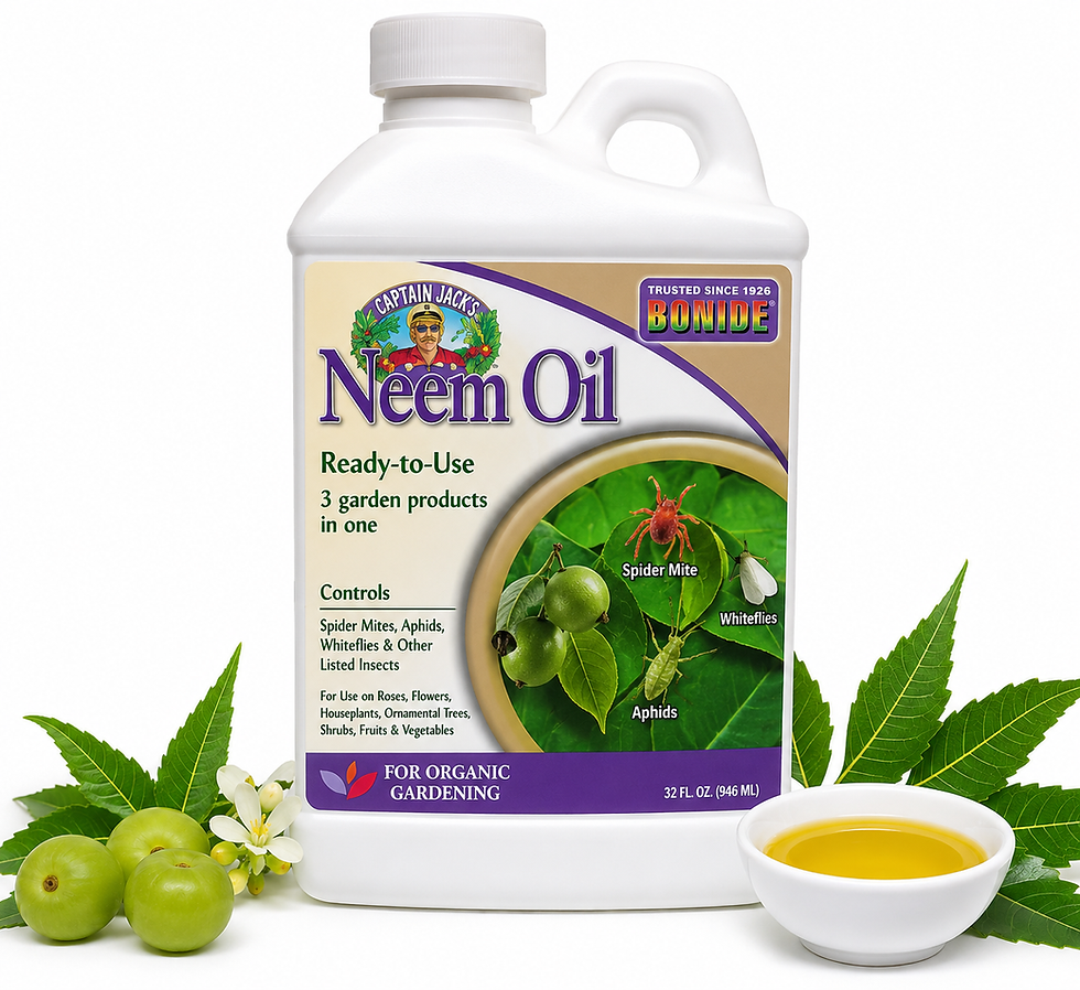 Thumbnail: Captain Jack’s Neem Oil Ready-To-Use Spray for Spider Mites, Aphids & Whiteflies