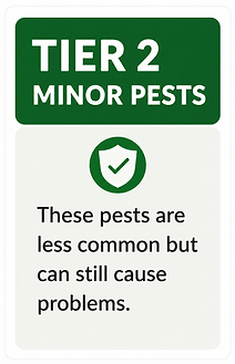 Tier 2 minor pests.png