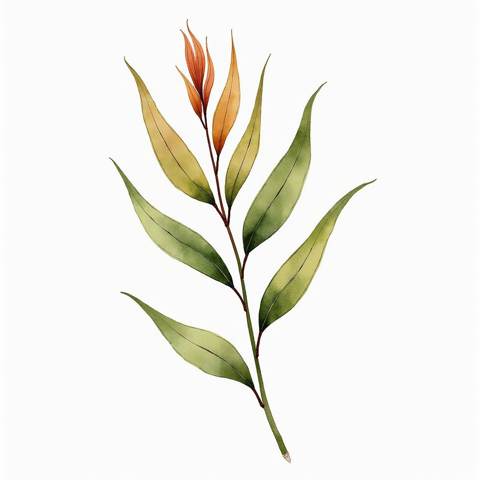 Ilustración Botánica Acuarela