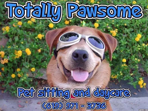 pawsome doggy daycare