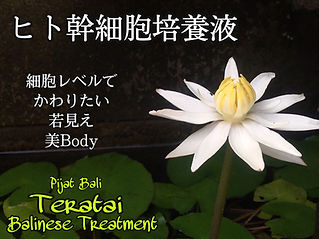 0CB0A7A3-3EEF-42BA-8040-3A394516A0BD.jpe