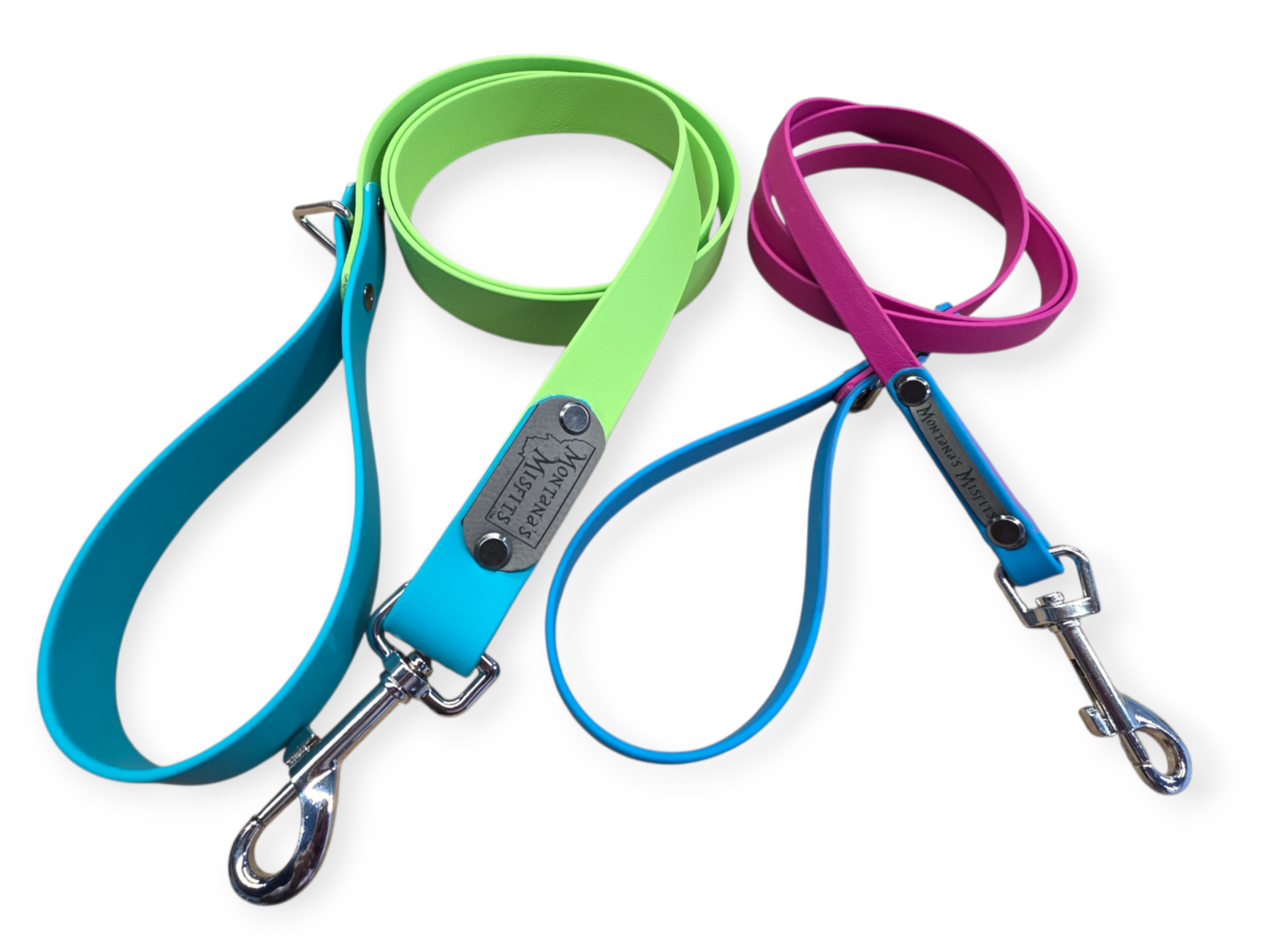 Biothane Leash