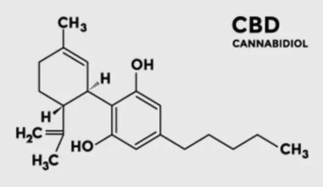 Cannabidiol