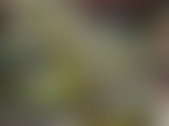 George Oliver’s Arbor Old Town Gains Momentum with First Leases, Spec Suites