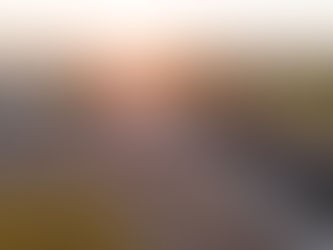 Sunland’s First Bridge Spans I-10 in Avondale