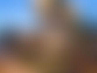 Arizona Placemakers: Lorenzo Perez