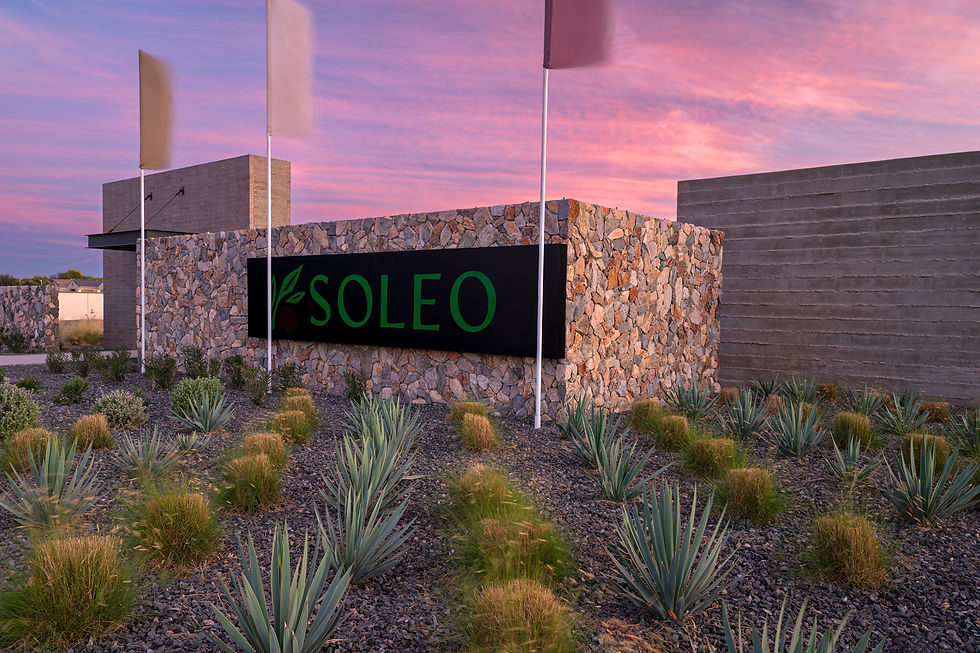 Soleo: Structuring an Agrarian-Inspired Community