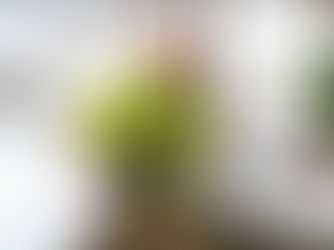 Fremtidens Arbeidsplass: Fallsikringskurs som Innovativ Investering.