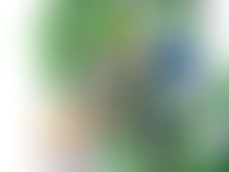 Skritt for skritt: En guide til vårt Fallsikringskurs.