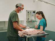 Veterinary Clinic Clapham | Vets On The Common