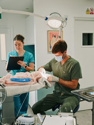 Surgery carried out by Dr Michael | Vets On The Common