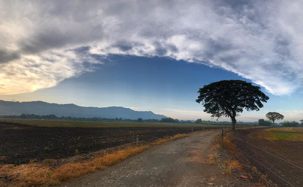 PAISAJE.jpg