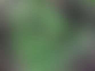 September Planting Guide