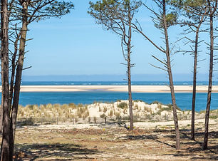 cours particuliers de natation a Arcachon