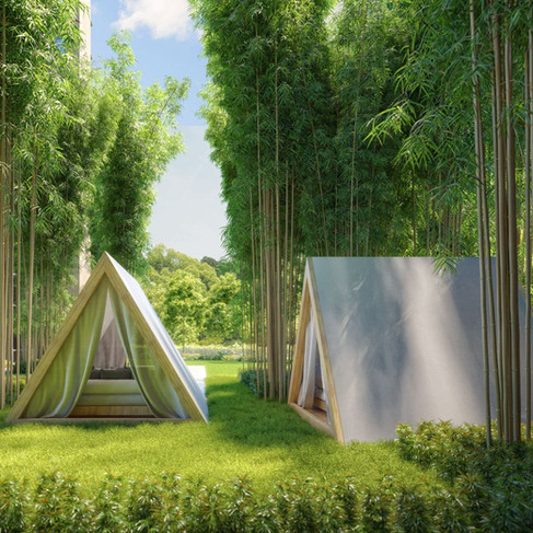 two camping tents with bamboo trees