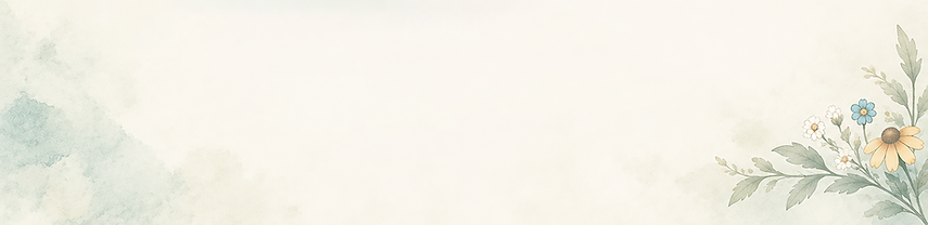 Banner-Background-web-bottom.png