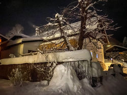 Bild-20210115-180404-5946e9c6