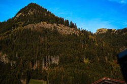 Bild-20221025-151814-f543de44