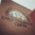 Through A Child's Eyes Daycare Cente
