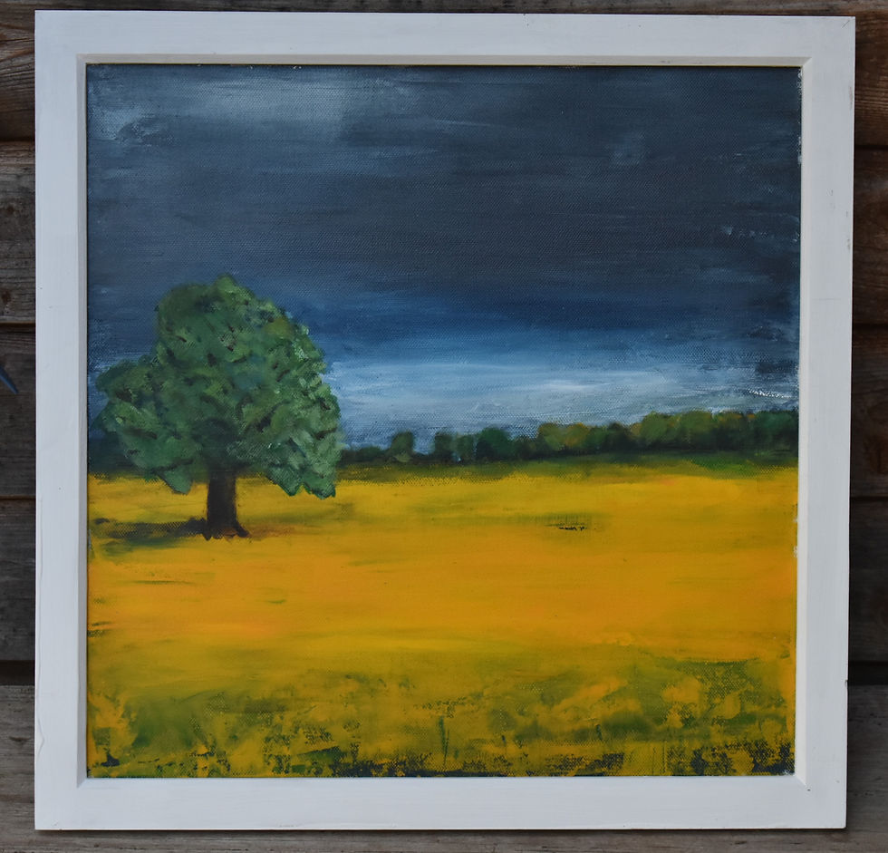 Thumbnail: Rape Field 1