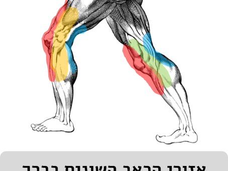 תרגילים לכאבי ברכיים