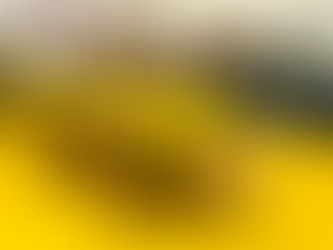 Bucket List... Check and Check!