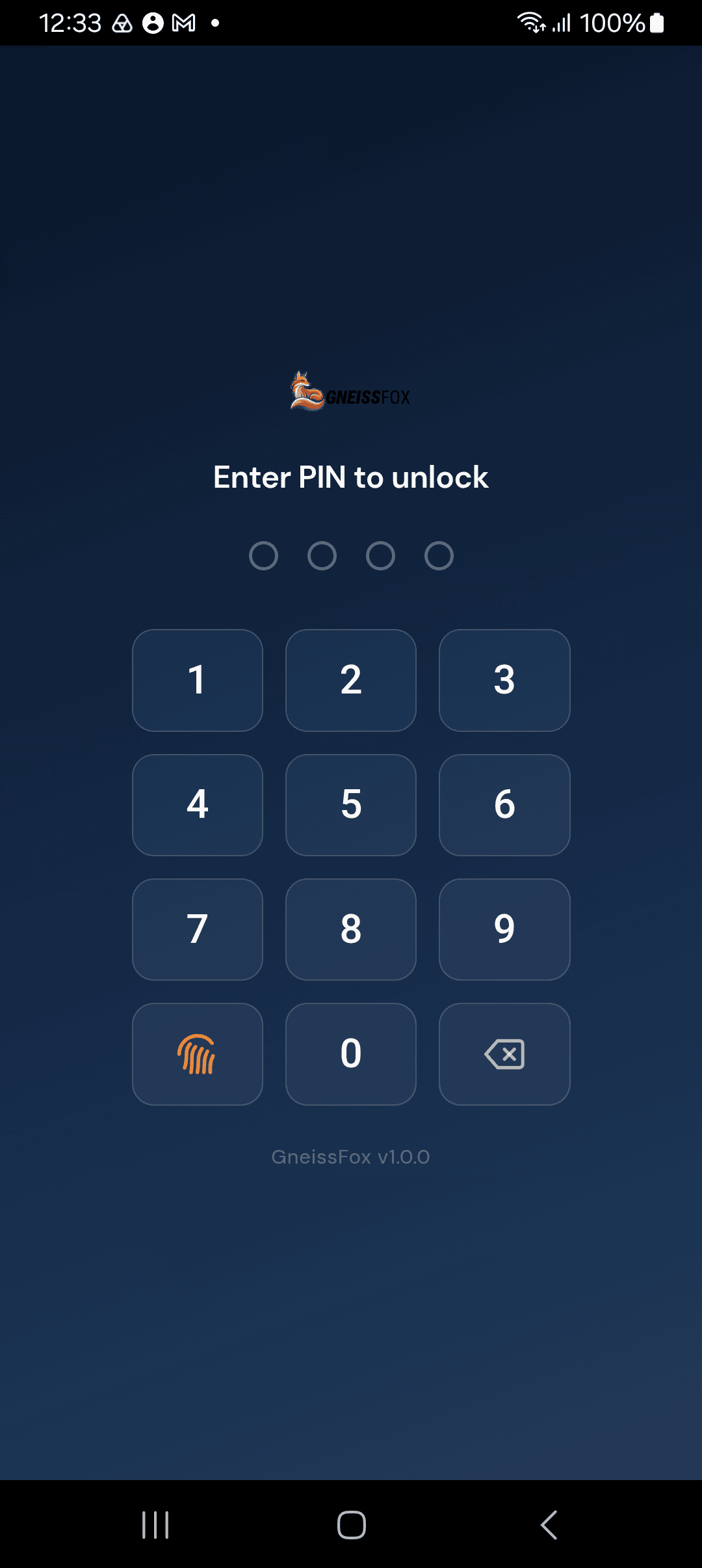 PIN lock screen for app security