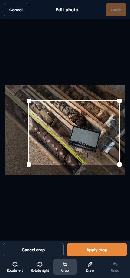 Photo editor in crop mode with drag handles
