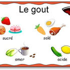 Affichage-sur-le-gout-Les-différentes-saveurs.jpg