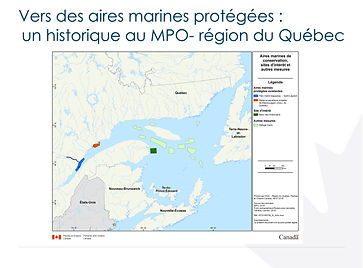 20180709-AMP-Qc-ComiteConseilNational-V2