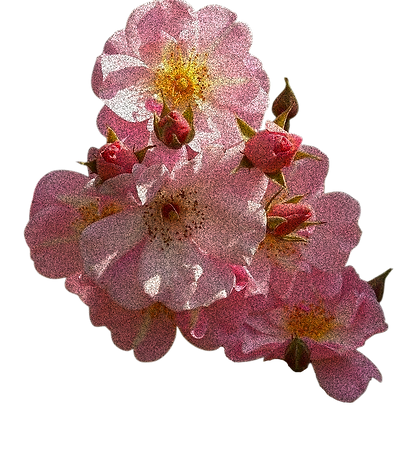 8d07a66e7a9086521cac9a3499b062f2_edited_