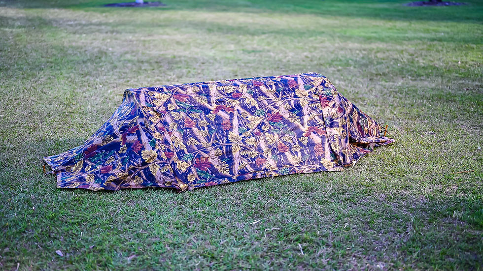 Thumbnail: "The Swammock" - The Swag Hammock