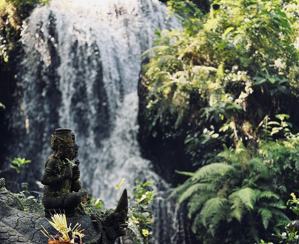 【浄化の旅】バリ島の聖なる滝へ。新スポット「グリヤ・ベジ」で体験する、心と体を解き放つ究極の沐浴<RYT200 /RYT500 /Retreat>