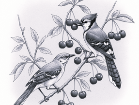 Missed a Week, So How About Three Poems?