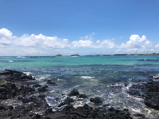 My Minimester Trip: Ecuador & the Galápagos