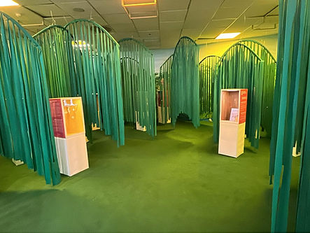 WhatsApp Image 2025-09-25 at 16.41.14.jpeg