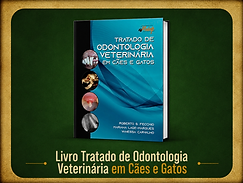Para adquirir o livro entre em contato com 11 9 7431-9723