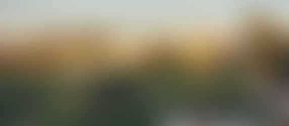 More photos  from  yesterday.