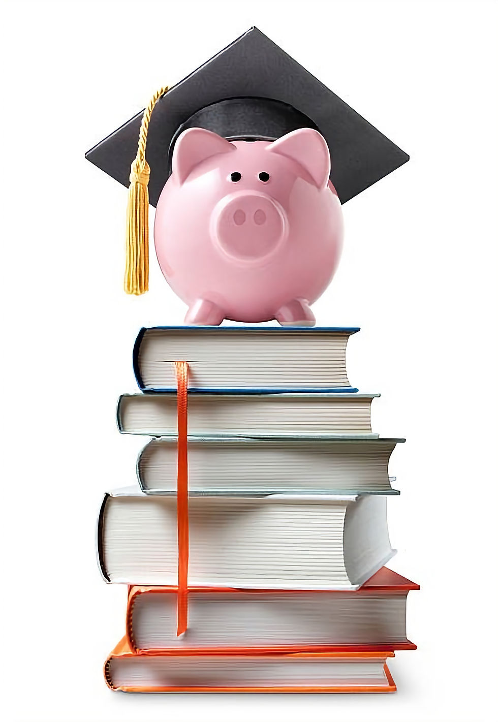 Credit Education pig sitting on books