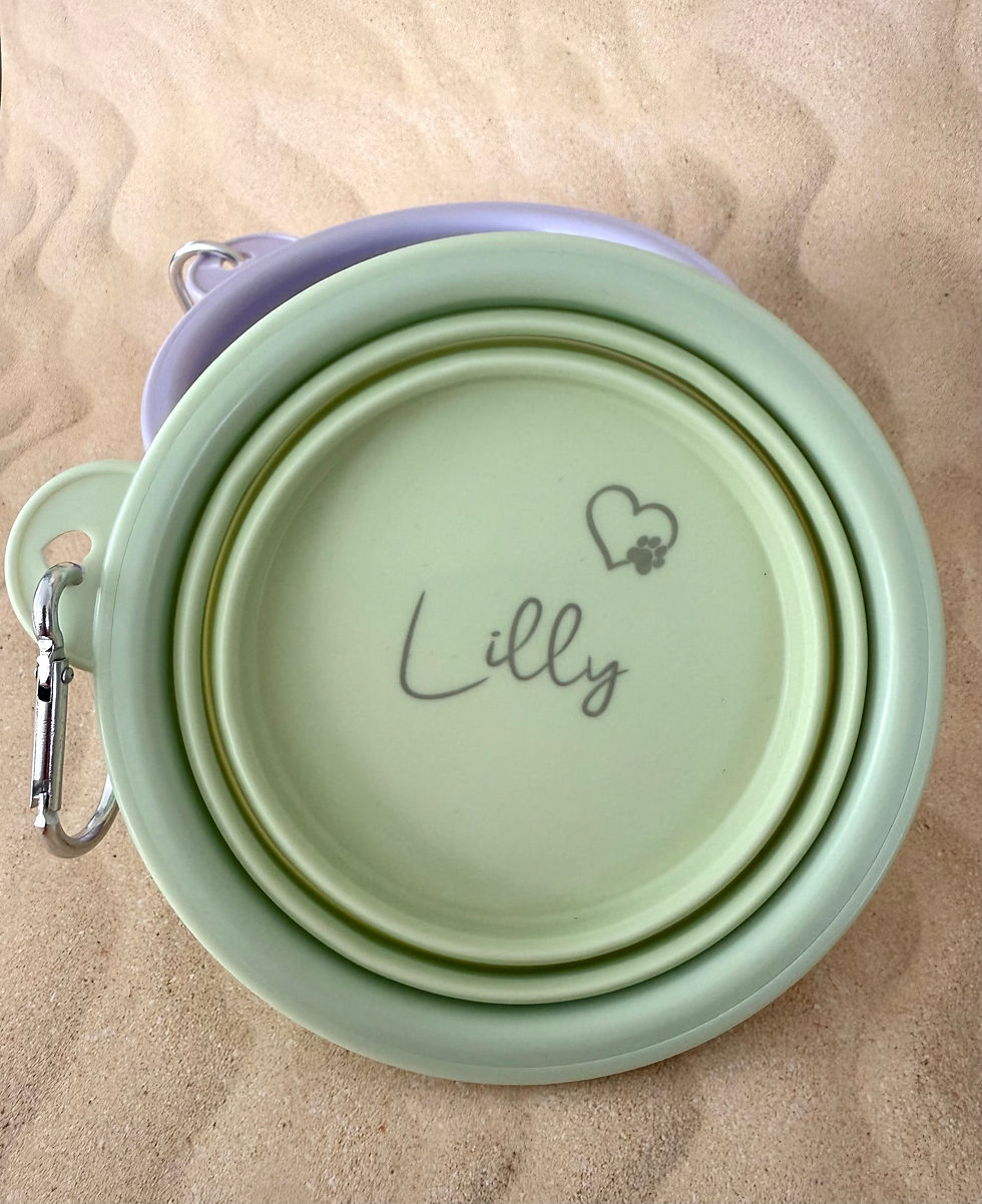 Miniaturbild: Personalisierter Hundenapf zum reisen in 2 Farben geschlossen
