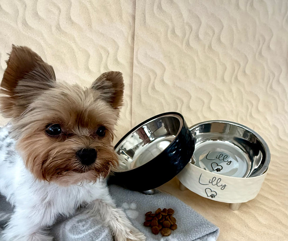 Miniaturbild: Personalisierter Hundenapf - Lasergraviert 2 Farben