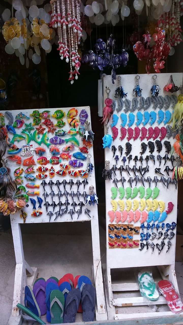 15874872_10208255114915921_2713962667940444931_o