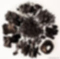 PyroSwiss pyrolyse biochar