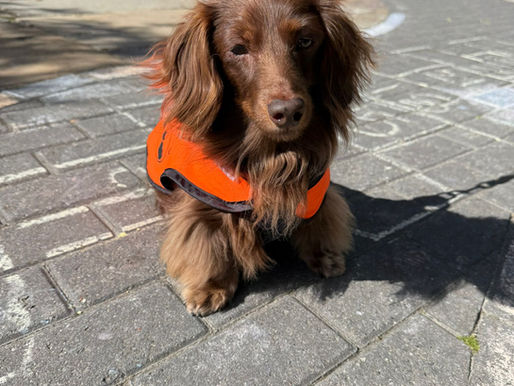Meet Betty at St Christopher's!