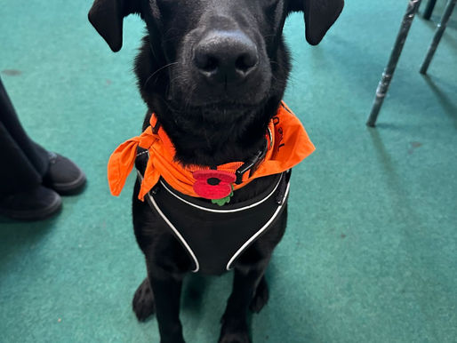 Look at how much Monty has grown!