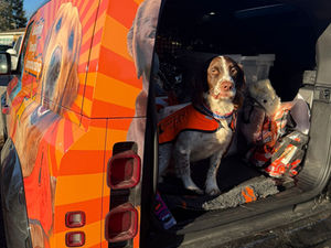 Baxter joins our Dog Mentor family!