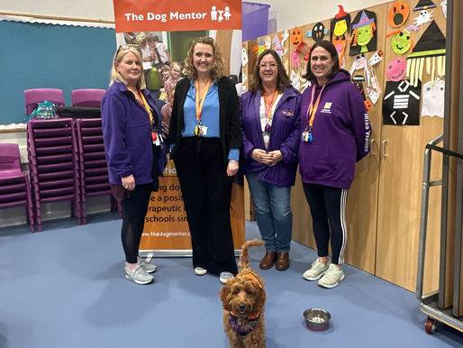 A great day at Lakeside Primary Academy!