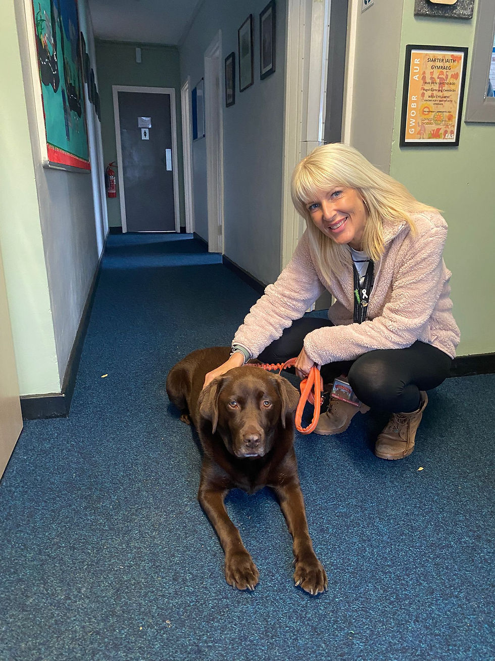 Jenny Sleath goes to see Pegi