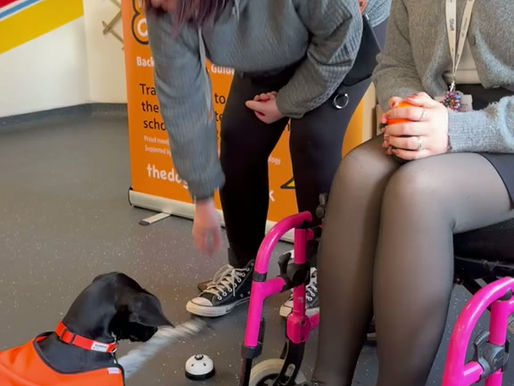 Ending the week at The Harbour School in Cosham!